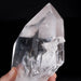 Lemurian Seed Crystal 2054 g 8"x4.2" Record Keepers - InnerVision Crystals