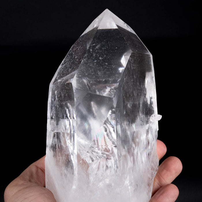 Lemurian Seed Crystal 2054 g 8"x4.2" Record Keepers - InnerVision Crystals