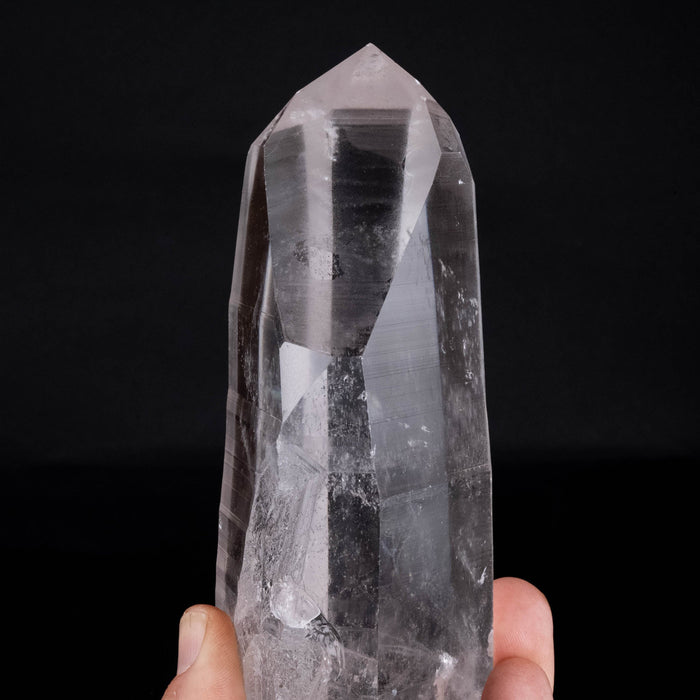 Lemurian Seed Crystal 880 g 171x72mm Record Keepers - InnerVision Crystals