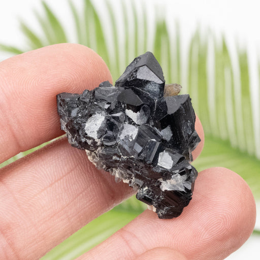 Black Tourmaline 20.08 g 21x34mm - InnerVision Crystals