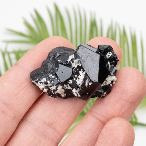 Black Tourmaline 20.85 g 37x31mm - InnerVision Crystals