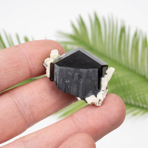 Black Tourmaline 22.37 g 24x33mm - InnerVision Crystals