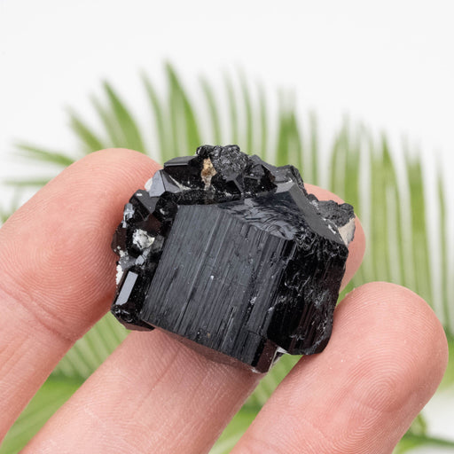 Black Tourmaline 23.15 g 28x30mm - InnerVision Crystals