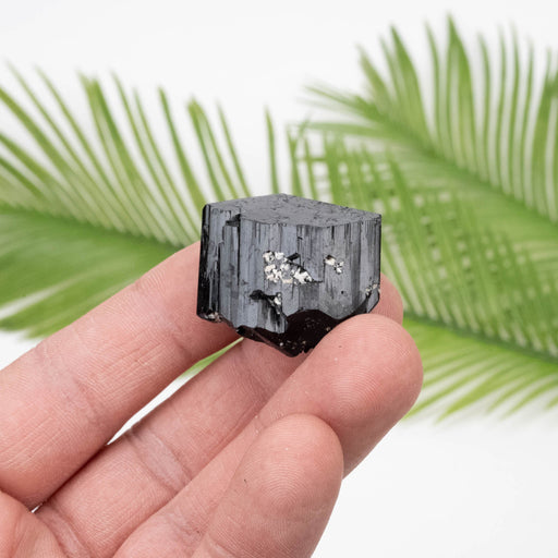 Black Tourmaline 32.60 g 26x26mm - InnerVision Crystals