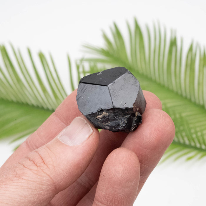 Black Tourmaline 39.18 g 34x27mm - InnerVision Crystals