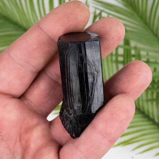 Black Tourmaline 58 g 57x24mm - InnerVision Crystals