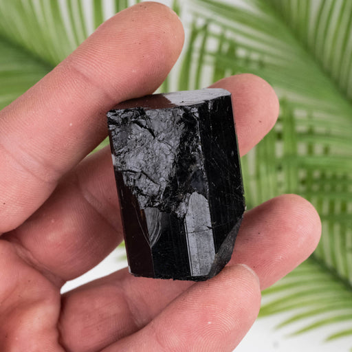 Black Tourmaline 61 g 40x27mm - InnerVision Crystals