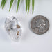 Herkimer Diamond Quartz Crystal 10 g 31x18x13mm - InnerVision Crystals