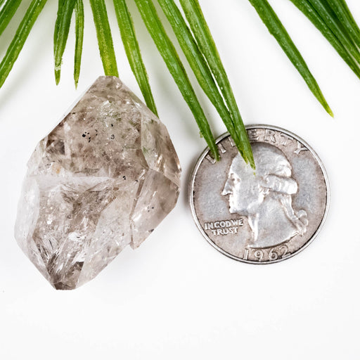 Herkimer Diamond Quartz Crystal 17.67 g 35x26x18mm B grade Smoky - InnerVision Crystals