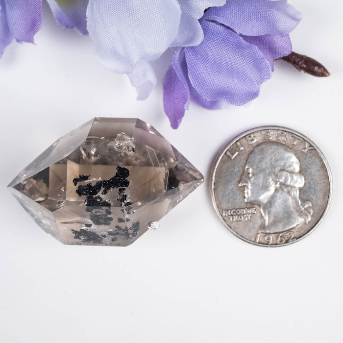 Herkimer Diamond Quartz Crystal 21.49 g 37x26x18mm A+ Smoky with Carbon - InnerVision Crystals