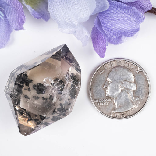 Herkimer Diamond Quartz Crystal 21.49 g 37x26x18mm A+ Smoky with Carbon - InnerVision Crystals