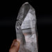 Lemurian Seed Crystal 1448 g 9.5"x2.9" - InnerVision Crystals