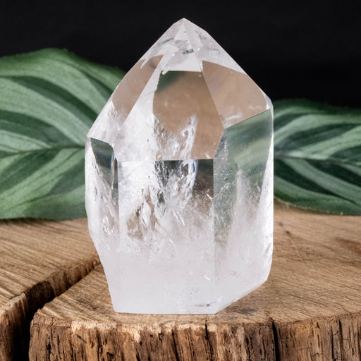 Lemurian Seed Crystal 89 g 53x38mm - InnerVision Crystals