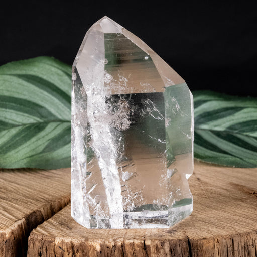Lemurian Seed Crystal 91 g 59x30mm - InnerVision Crystals