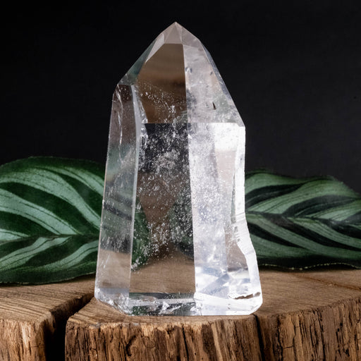 Lemurian Seed Crystal Polished Point 103 g 71x43mm - InnerVision Crystals