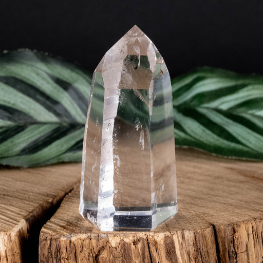 Lemurian Seed Crystal Polished Point 44 g 52x28mm - InnerVision Crystals
