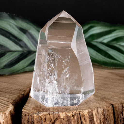 Lemurian Seed Crystal Polished Point 48 g 46x34mm - InnerVision Crystals