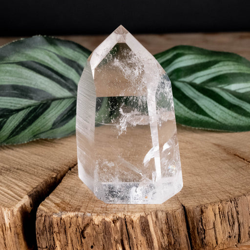 Lemurian Seed Crystal Polished Point 71 g 53x33mm - InnerVision Crystals