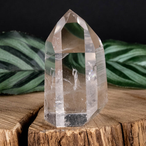Lemurian Seed Crystal Polished Point 73 g 55x34mm - InnerVision Crystals
