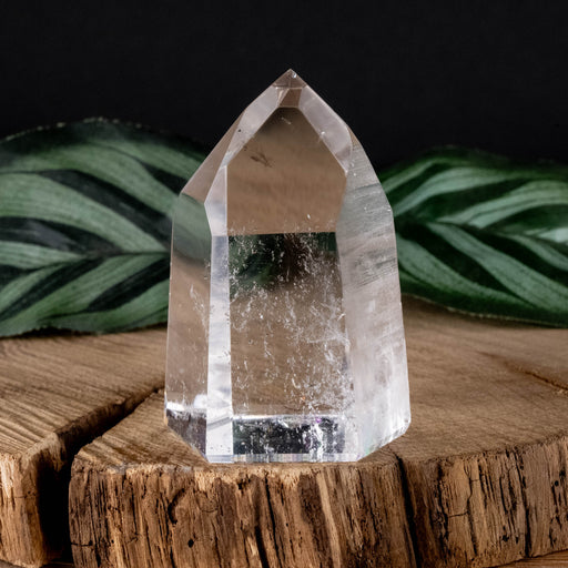 Lemurian Seed Crystal Polished Point 78 g 52x35mm - InnerVision Crystals