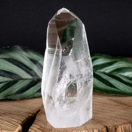 Lemurian Seed Crystal Polished Point 87 g 68x28mm - InnerVision Crystals