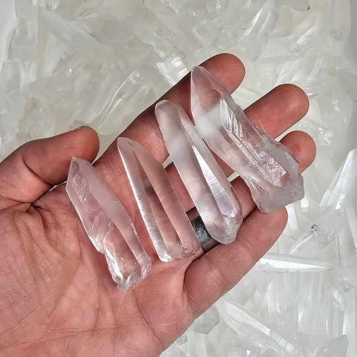 Lemurian Seed Quartz Crystals BRAZIL 1.5" - 3"+ | WHOLESALE CLEARANCE - InnerVision Crystals