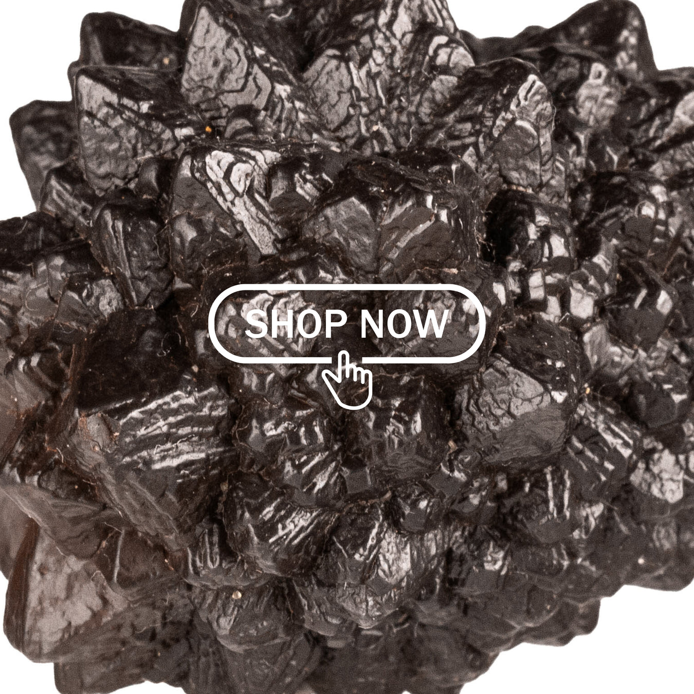 Prophecy Stones InnerVision Crystals