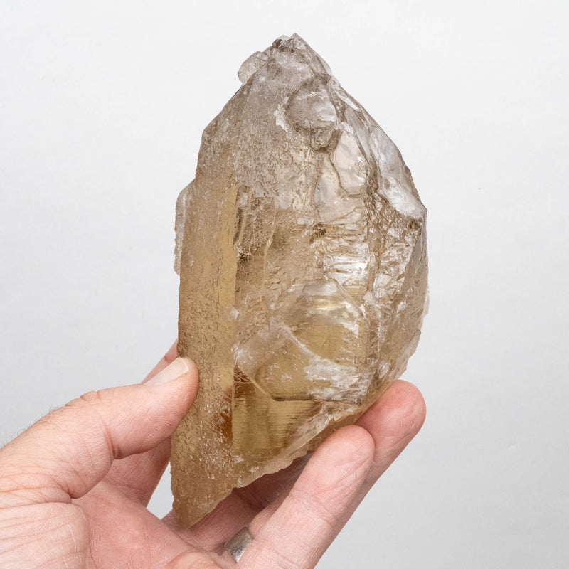 Citrine Crystal 774 g 149x69mm