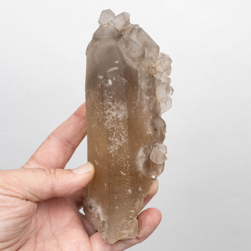 Citrine Crystal 674 g 159x65mm