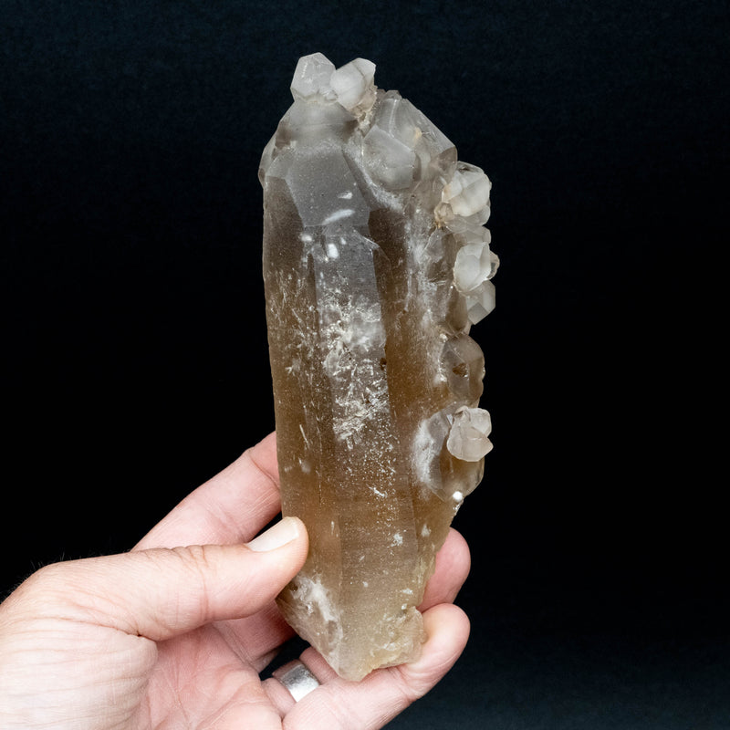 Citrine Crystal 674 g 159x65mm
