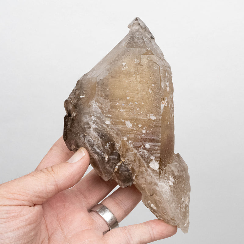 Citrine Crystal 720 g 164x81mm DT