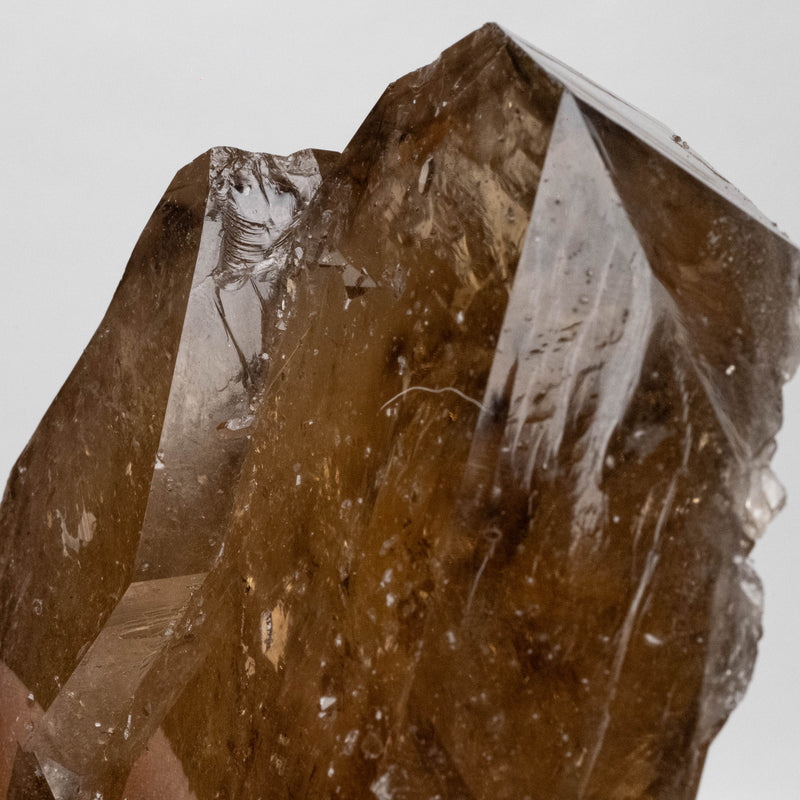 Citrine Crystal 1066 g 148x116mm DT Self Healed AA+ Grade