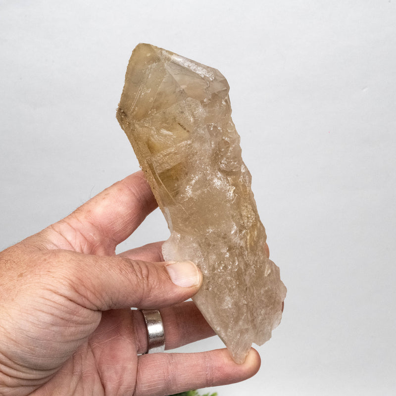 Citrine Crystal 476 g 157x54mm