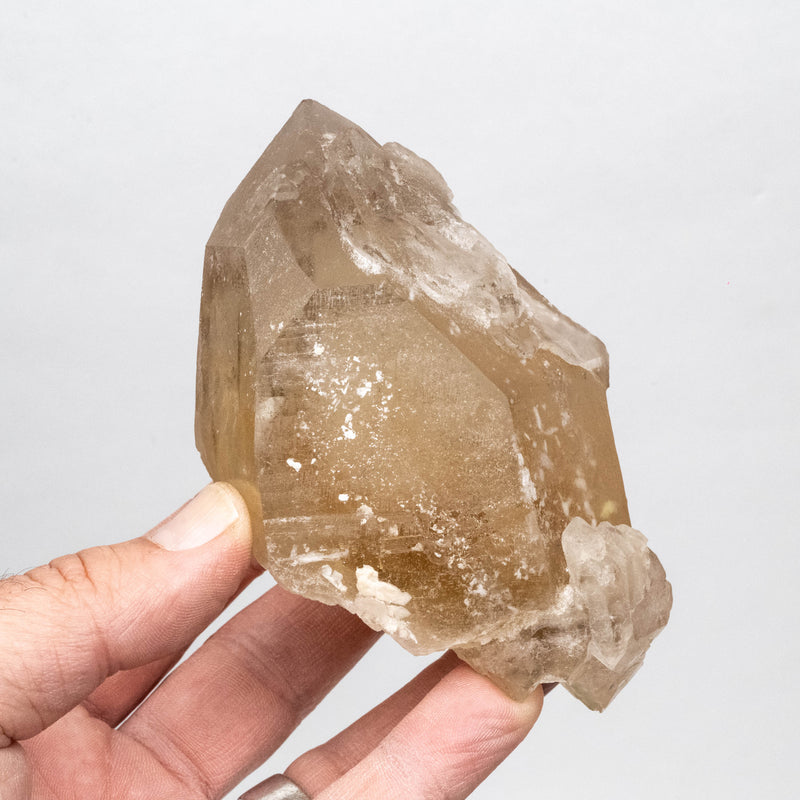 Citrine Crystal 470 g 110x72mm DT