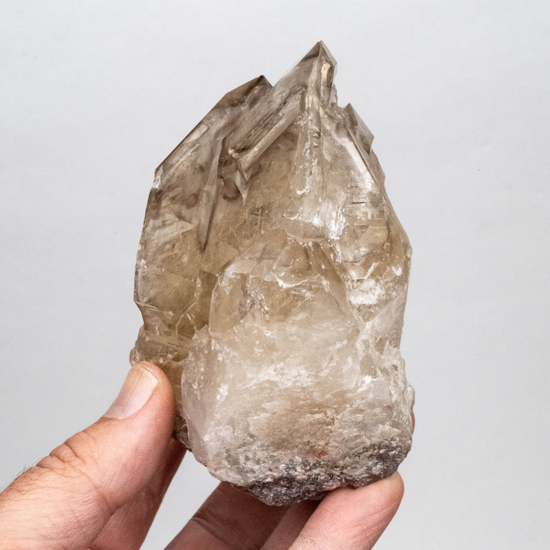 Citrine Crystal 512 g 109x66 w/ Lepidolite