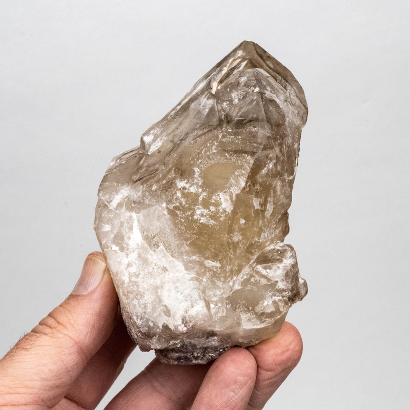 Citrine Crystal 512 g 109x66 w/ Lepidolite