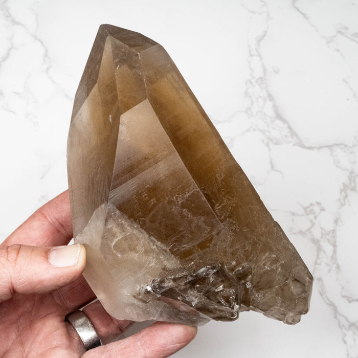 Smoky Citrine Crystal 1025 g 163x71mm DT
