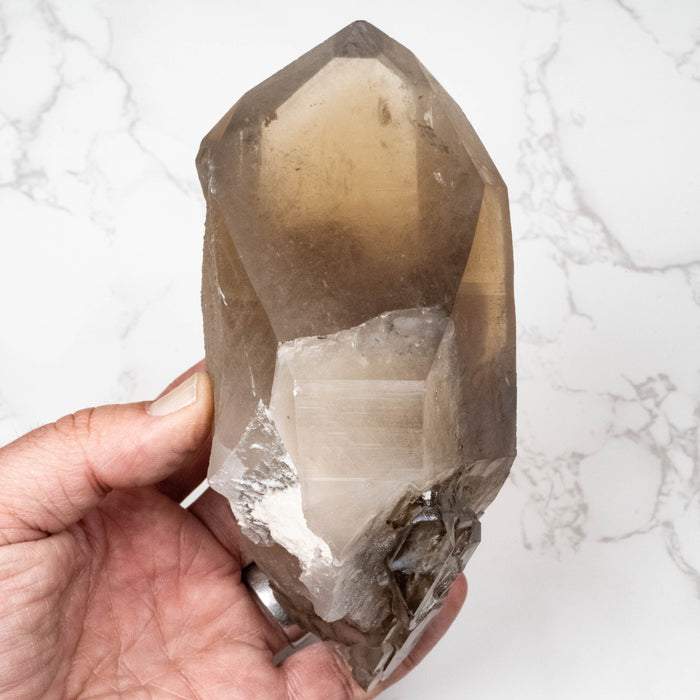 Smoky Citrine Crystal 1025 g 163x71mm DT