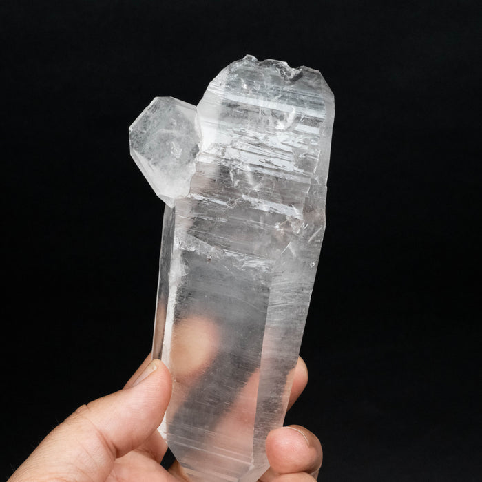 Lemurian Seed Quartz Crystal *DT 428 g 160x70mm