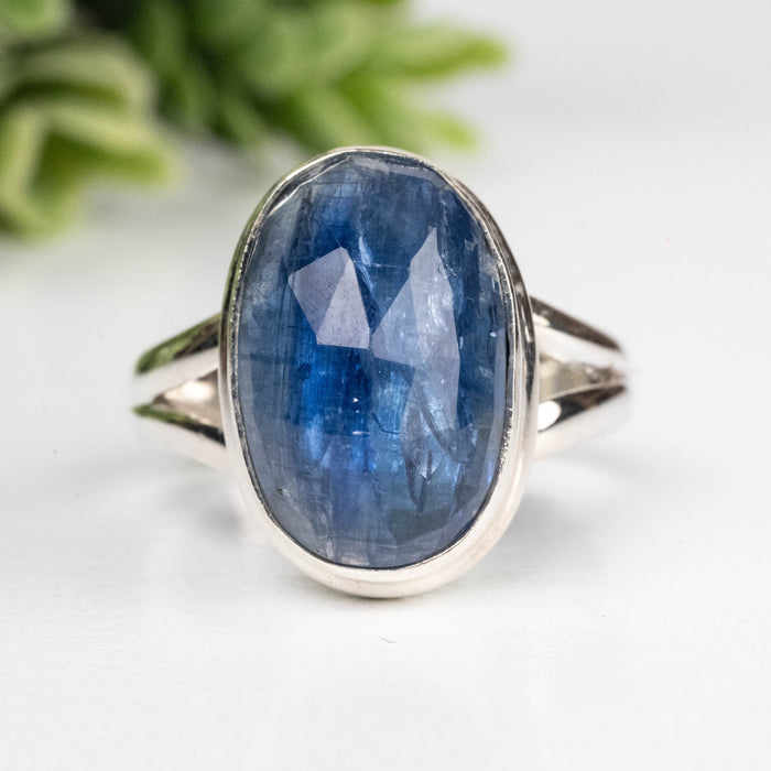 Kyanite Ring 14x9mm Size 7 .925 Silver