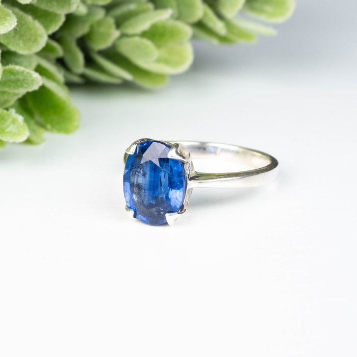 Kyanite Ring 9x7mm Size 5
