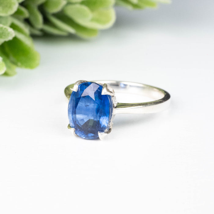 Kyanite Ring 9x7mm Size 5