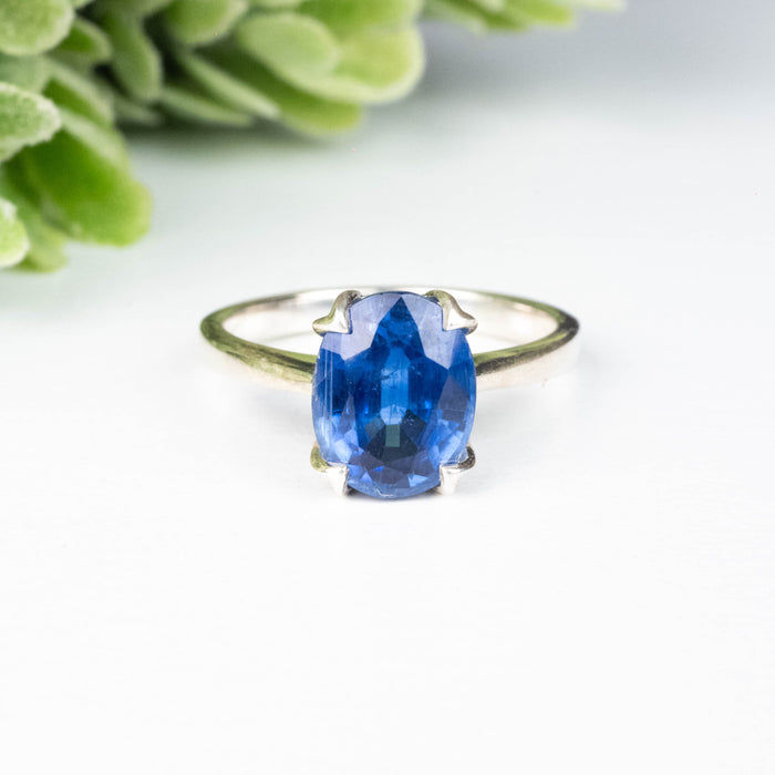 Kyanite Ring 9x7mm Size 5