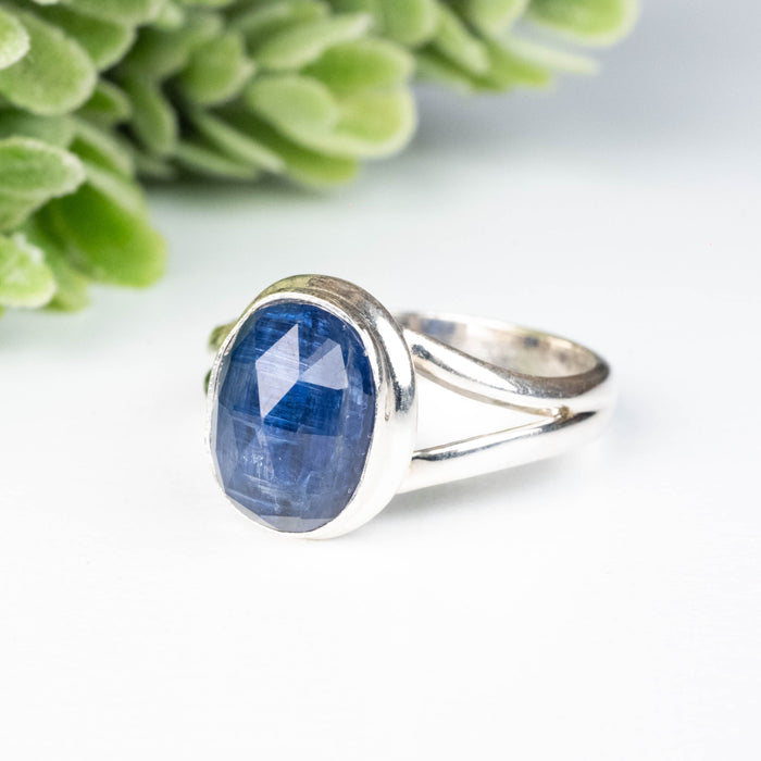 Kyanite Ring 11x9mm Size 8