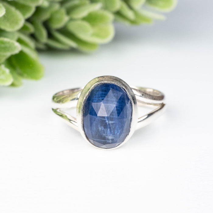 Kyanite Ring 11x9mm Size 8