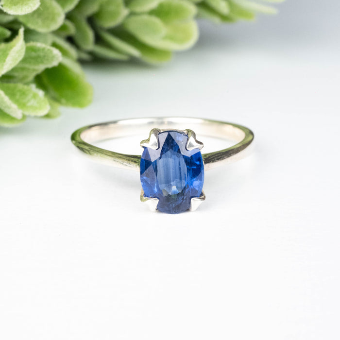 Kyanite Ring 9x7mm Size 10