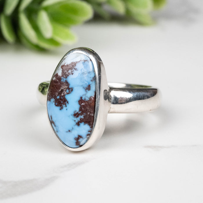 Golden Hill Turquoise Ring 14x8mm Size 5