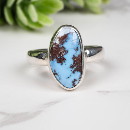 Golden Hill Turquoise Ring 14x8mm Size 5 - InnerVision Crystals