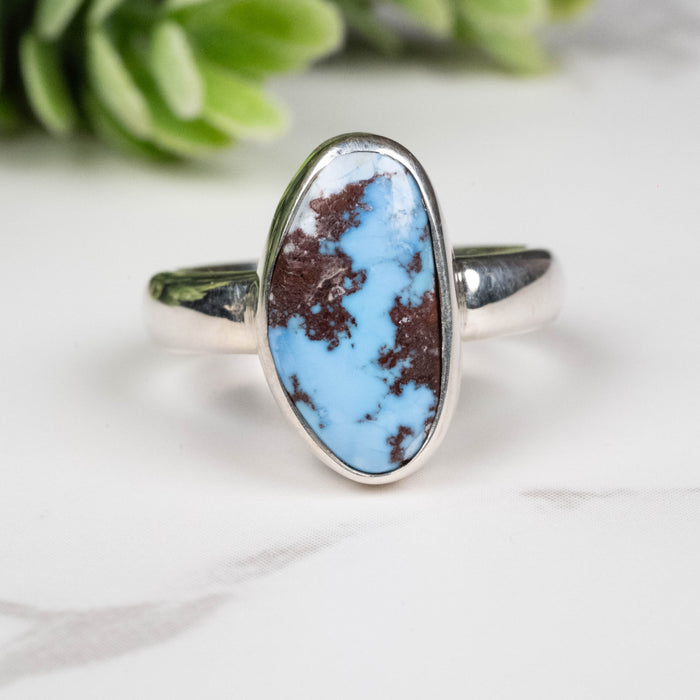 Golden Hill Turquoise Ring 14x8mm Size 5