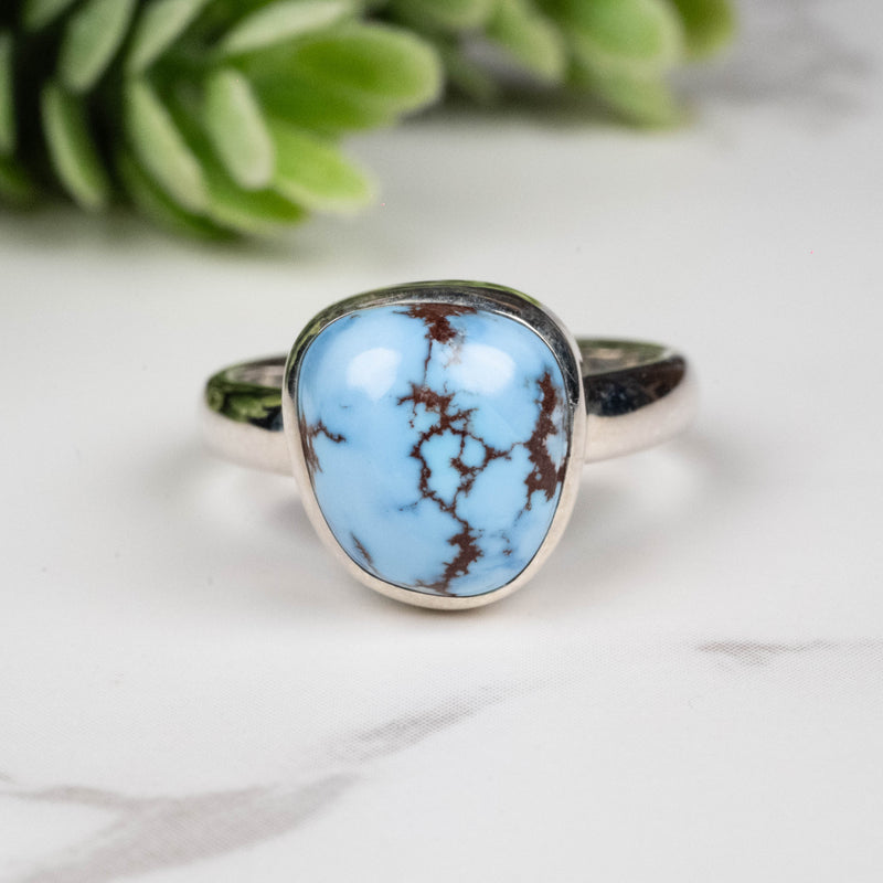 Golden Hill Turquoise Ring 10mm Size 5